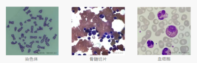9413c6ca32f3cf1768a2ec8b4c4ff62.png